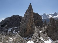 I, Sued-Tirol, Corvara, Naturpark Puez-Geisler, Forcella Cier 14, Saxifraga-Willem van Kruijsbergen