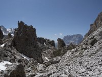 I, Sued-Tirol, Corvara, Naturpark Puez-Geisler, Forcella Cier 15, Saxifraga-Willem van Kruijsbergen