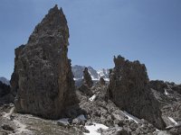 I, Sued-Tirol, Corvara, Naturpark Puez-Geisler, Forcella Cier 16, Saxifraga-Willem van Kruijsbergen