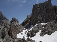 I, Sued-Tirol, Corvara, Naturpark Puez-Geisler, Forcella Cier 17, Saxifraga-Willem van Kruijsbergen