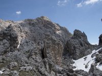I, Sued-Tirol, Corvara, Naturpark Puez-Geisler, Forcella Cier 21, Saxifraga-Willem van Kruijsbergen