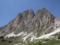I, Sued-Tirol, Corvara, Naturpark Puez-Geisler, Forcella Cier 31, Saxifraga-Willem van Kruijsbergen