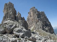 I, Sued-Tirol, Corvara, Naturpark Puez-Geisler, Forcella Cier 33, Saxifraga-Annemiek Bouwman