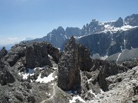 I, Sued-Tirol, Corvara, Naturpark Puez-Geisler, Forcella Cier 35, Saxifraga-Annemiek Bouwman
