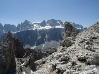 I, Sued-Tirol, Corvara, Naturpark Puez-Geisler, Forcella Cier 36, Saxifraga-Annemiek Bouwman