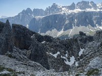I, Sued-Tirol, Corvara, Naturpark Puez-Geisler, Forcella Cier 38, Saxifraga-Annemiek Bouwman
