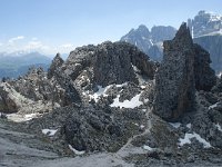 I, Sued-Tirol, Corvara, Naturpark Puez-Geisler, Forcella Cier 39, Saxifraga-Annemiek Bouwman