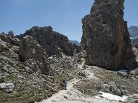 I, Sued-Tirol, Corvara, Naturpark Puez-Geisler, Forcella Cier 40, Saxifraga-Annemiek Bouwman