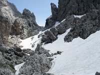 I, Sued-Tirol, Corvara, Naturpark Puez-Geisler, Forcella Cier 42, Saxifraga-Annemiek Bouwman