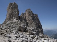 I, Sued-Tirol, Corvara, Naturpark Puez-Geisler, Forcella Cier 6, Saxifraga-Willem van Kruijsbergen