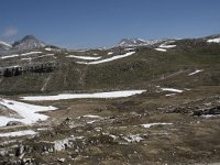 I, Sued-Tirol, Corvara, Naturpark Puez-Geisler, Lech de Crespeina 11, Saxifraga-Willem van Kruijsbergen
