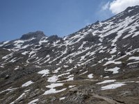 I, Sued-Tirol, Corvara, Naturpark Puez-Geisler, Lech de Crespeina 12, Saxifraga-Willem van Kruijsbergen