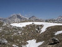 I, Sued-Tirol, Corvara, Naturpark Puez-Geisler, Lech de Crespeina 13, Saxifraga-Willem van Kruijsbergen