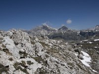 I, Sued-Tirol, Corvara, Naturpark Puez-Geisler, Lech de Crespeina 17, Saxifraga-Willem van Kruijsbergen