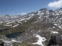 I, Sued-Tirol, Corvara, Naturpark Puez-Geisler, Lech de Crespeina 18, Saxifraga-Willem van Kruijsbergen