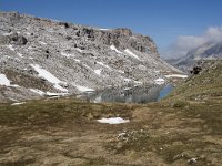 I, Sued-Tirol, Corvara, Naturpark Puez-Geisler, Lech de Crespeina 2, Saxifraga-Willem van Kruijsbergen