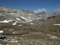 I, Sued-Tirol, Corvara, Naturpark Puez-Geisler, Lech de Crespeina 20, Saxifraga-Annemiek Bouwman