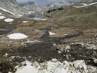 I, Sued-Tirol, Corvara, Naturpark Puez-Geisler, Lech de Crespeina 21, Saxifraga-Annemiek Bouwman