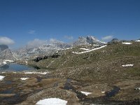 I, Sued-Tirol, Corvara, Naturpark Puez-Geisler, Lech de Crespeina 23, Saxifraga-Annemiek Bouwman