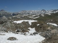 I, Sued-Tirol, Corvara, Naturpark Puez-Geisler, Lech de Crespeina 25, Saxifraga-Annemiek Bouwman
