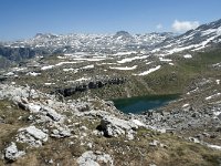 I, Sued-Tirol, Corvara, Naturpark Puez-Geisler, Lech de Crespeina 26, Saxifraga-Annemiek Bouwman