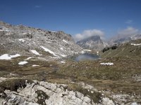 I, Sued-Tirol, Corvara, Naturpark Puez-Geisler, Lech de Crespeina 4, Saxifraga-Willem van Kruijsbergen