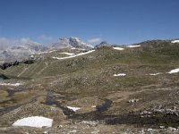 I, Sued-Tirol, Corvara, Naturpark Puez-Geisler, Lech de Crespeina 6, Saxifraga-Willem van Kruijsbergen