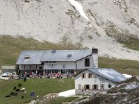 I, Sued-Tirol, Corvara, Naturpark Puez-Geisler, Puez Huette 4, Saxifraga-Willem van Kruijsbergen