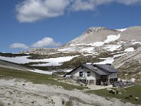 I, Sued-Tirol, Corvara, Naturpark Puez-Geisler, Puez Huette 6, Saxifraga-Willem van Kruijsbergen
