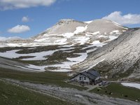 I, Sued-Tirol, Corvara, Naturpark Puez-Geisler, Puez Huette 7, Saxifraga-Willem van Kruijsbergen