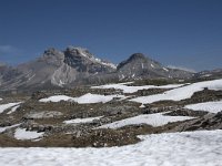 I, Sued-Tirol, Corvara, Naturpark Puez-Geisler, Puezspitz 12, Saxifraga-Willem van Kruijsbergen
