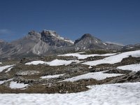 I, Sued-Tirol, Corvara, Naturpark Puez-Geisler, Puezspitz 13, Saxifraga-Willem van Kruijsbergen