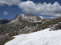 I, Sued-Tirol, Corvara, Naturpark Puez-Geisler, Puezspitz 5, Saxifraga-Willem van Kruijsbergen