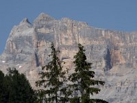 I, Sued-Tirol, Corvara, Piz de Lavarela 1, Saxifraga-Willem van Kruijsbergen