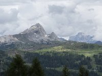 I, Sued-Tirol, Corvara, Settsass 1, Saxifraga-Willem van Kruijsbergen