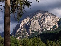 I, Sued-Tirol, Mareo, Al Plan de Mareo 3, Saxifraga-Hans Dekker
