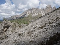 I, Sued-Tirol, Wolkenstein, Groedner Joch 39, Saxifraga-Willem van Kruijsbergen