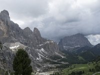 I, Sued-Tirol, Wolkenstein, Groedner Joch 52, Saxifraga-Willem van Kruijsbergen