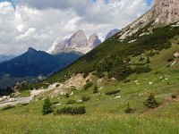 I, Sued-Tirol, Wolkenstein, Pordoi Pass 2, Saxifraga-Hans Dekker