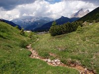 I, Sued-Tirol, Wolkenstein, Pordoi Pass 3, Saxifraga-Hans Dekker