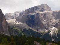 I, Sued-Tirol, Wolkenstein, Sella Pass 1, Saxifraga-Hans Dekker