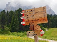 I, Sued-Tirol, Wolkenstein, Sella Pass 10, Saxifraga-Hans Dekker