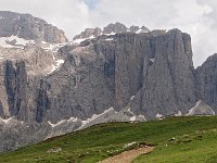 I, Sued-Tirol, Wolkenstein, Sella Pass 13, Saxifraga-Hans Dekker