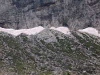 I, Sued-Tirol, Wolkenstein, Sella Pass 14, Saxifraga-Hans Dekker
