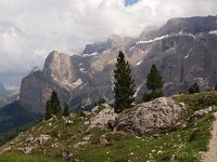 I, Sued-Tirol, Wolkenstein, Sella Pass 15, Saxifraga-Hans Dekker