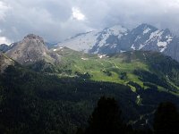 I, Sued-Tirol, Wolkenstein, Sella Pass 2, Saxifraga-Hans Dekker