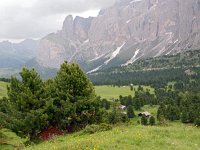 I, Sued-Tirol, Wolkenstein, Sella Pass 9, Saxifraga-Hans Dekker