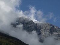 I, Trentino-Sued Tirol, Stelvio National Park, Sulden, Ortlergletscher 1, Saxifraga-Jan van der Straaten