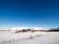 N, Finnmark, Tana, Tanamunningen 2, Saxifraga-Bart Vastenhouw