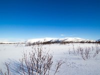 N, Finnmark, Tana, Tanamunningen 4, Saxifraga-Bart Vastenhouw